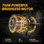 Electric Bike 31 MPH 70 Mile Range