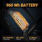 Electric Bike 31 MPH 70 Mile Range