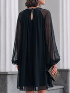 Sheer Chiffon Long Sleeve Smocked Neck Mini Dress