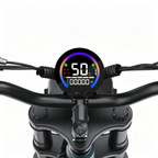Retro Full Suspension Fat Tire Electric Bike For Adults