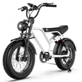Electric Bike 31 MPH 70 Mile Range
