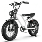Electric Bike 31 MPH 70 Mile Range
