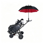 Dual Motor Electric Golf Scooter | 20° Climb