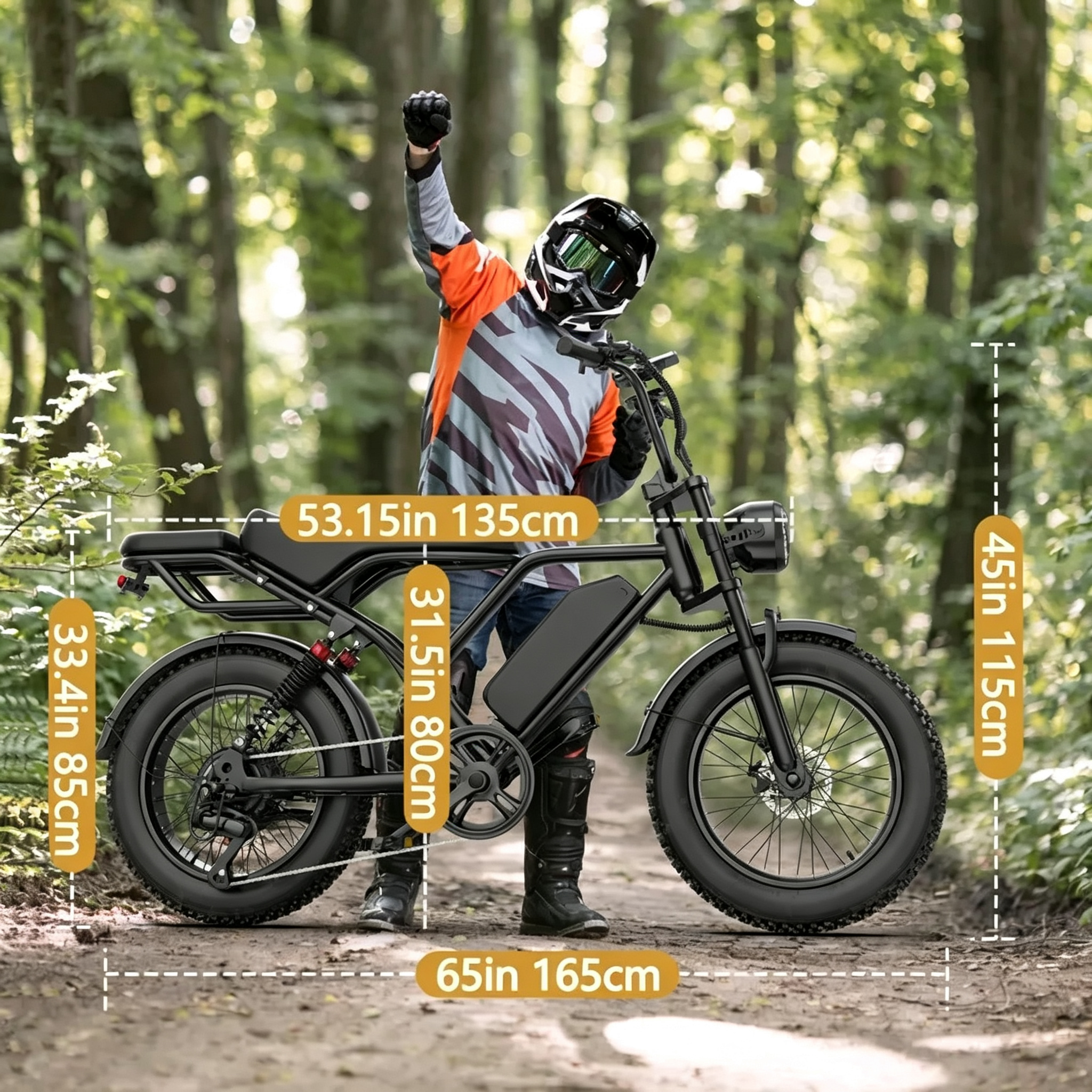 Electric Bike 31 MPH 70 Mile Range
