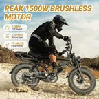 Electric Bike 31 MPH 70 Mile Range