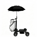 Foldable 4 Wheel Electric Golf Scooter Rideable Golf Trolley