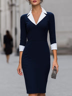 Navy & White Contrast Collared Sheath Dress